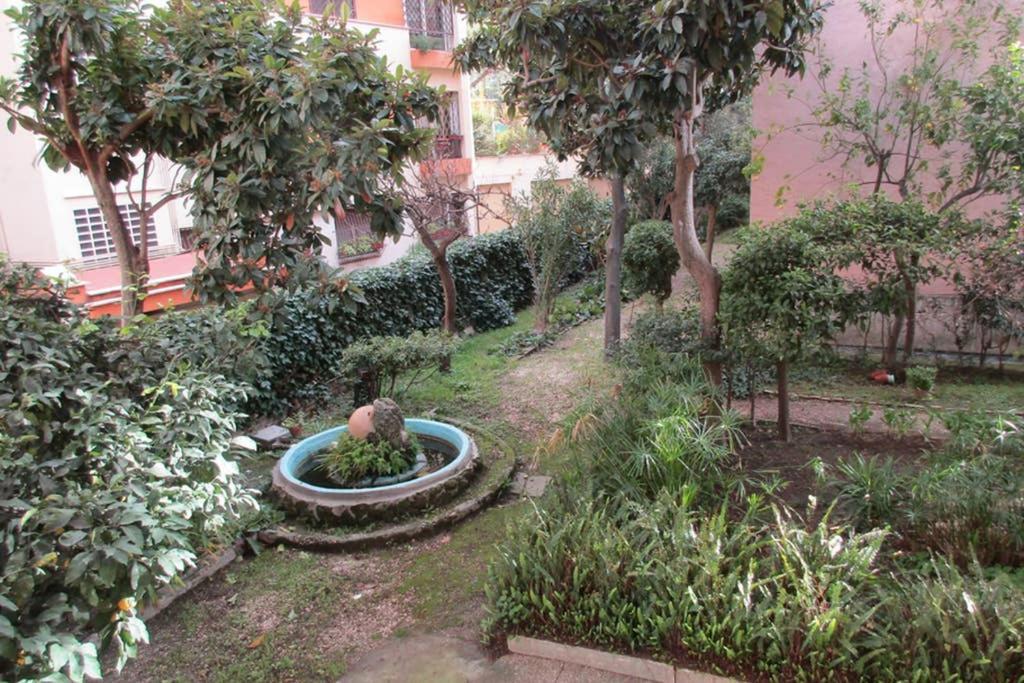 A Casa Di Rosa Apartment Rome