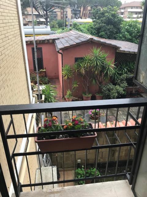 Eva's House Apartment