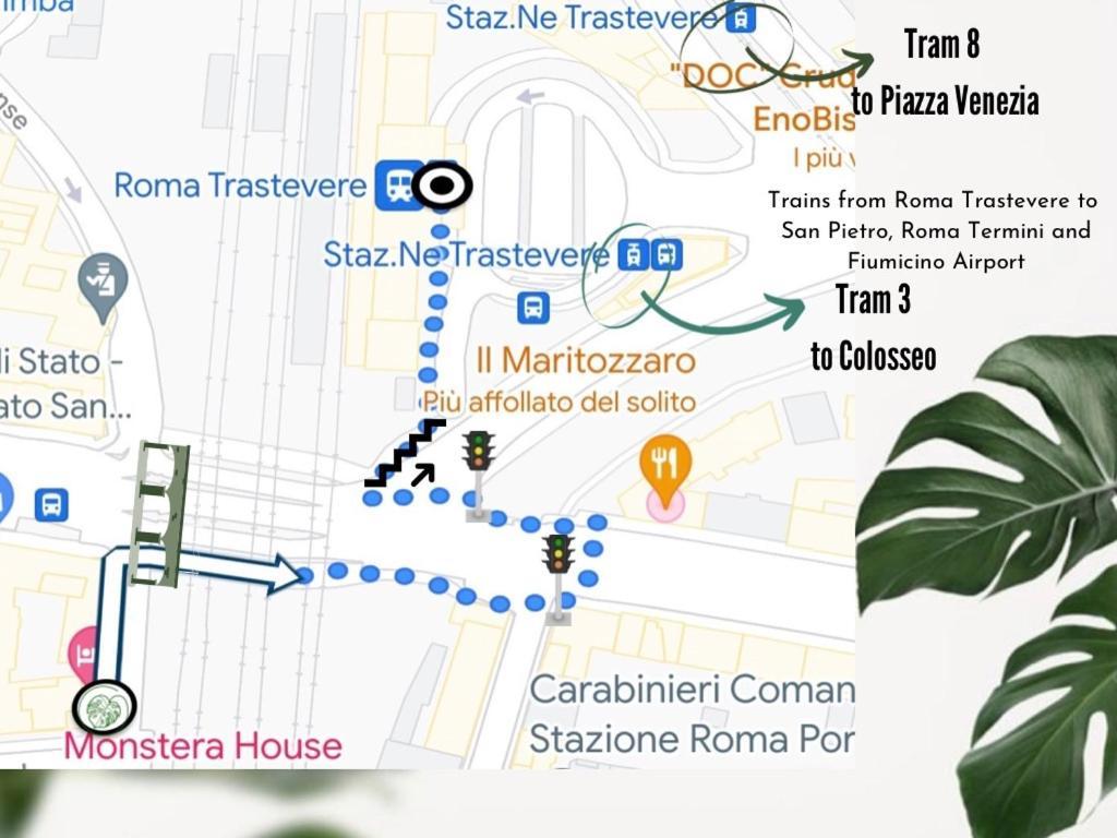 Monstera House Trastevere * Roma