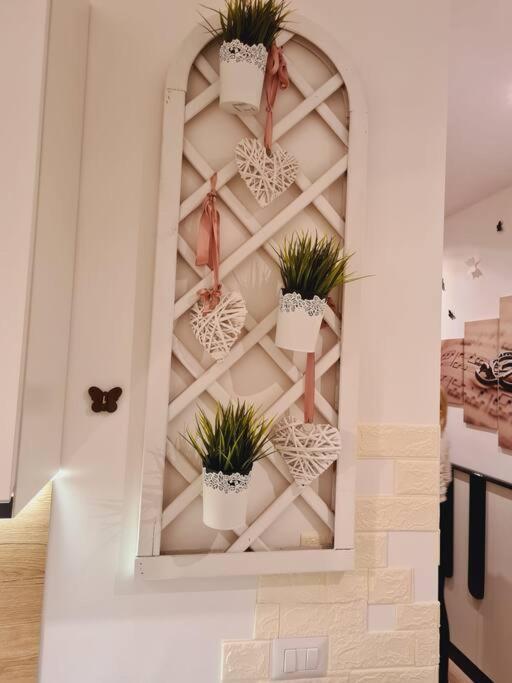 Casa Sorelle Marchisio Apartment Rome