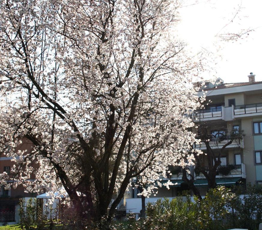Ecohotel Hotel Rome
