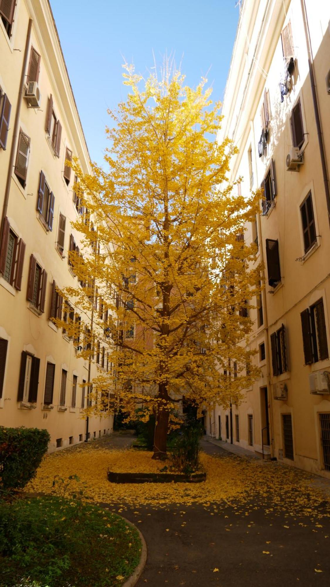 Vera Suite&apartment - Charming 3 Bedroom - 20min Walk From Colosseum * Rome