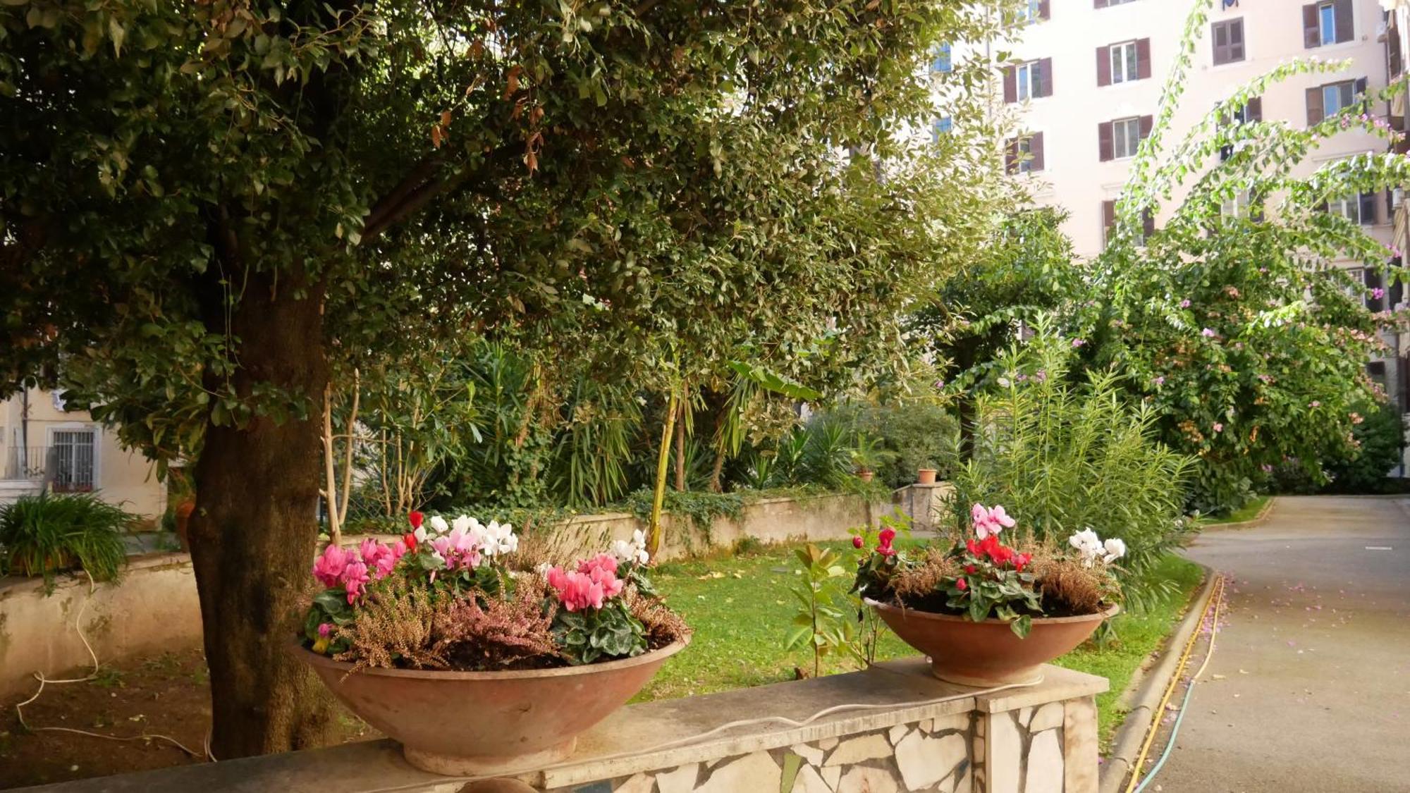 Apartment Vera Suite&apartment - Charming 3 Bedroom - 20min Walk From Colosseum