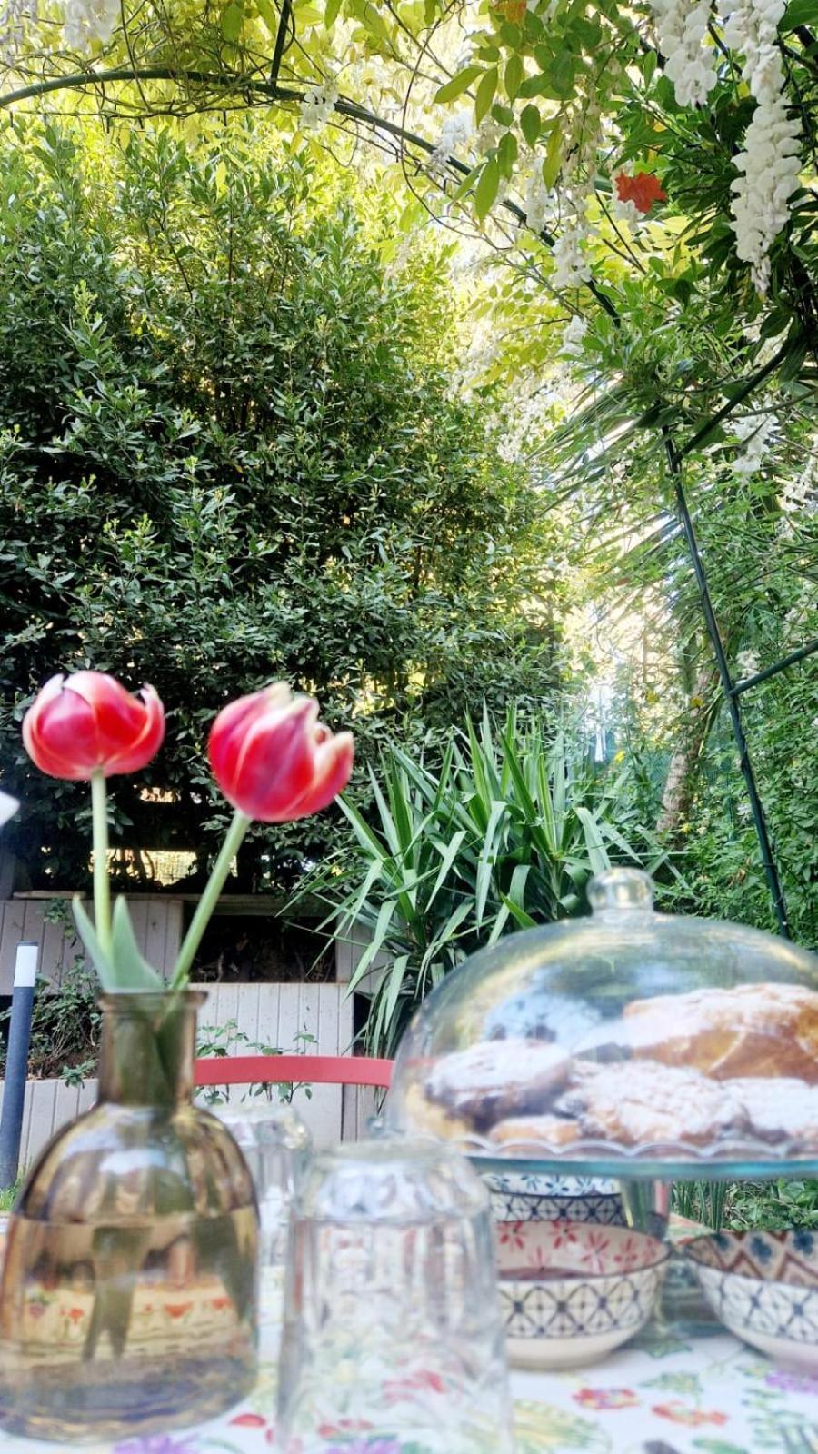 Homestay La Stanza Degli Abeti Blu *