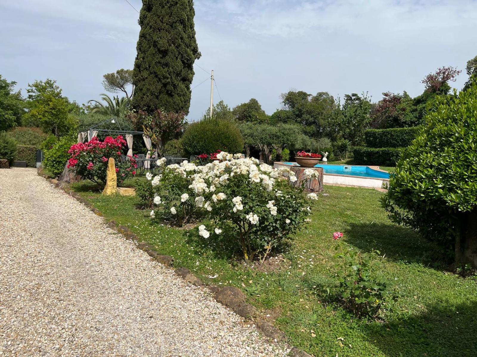 Apartment Loft Appia Antica Donna Eugenia *