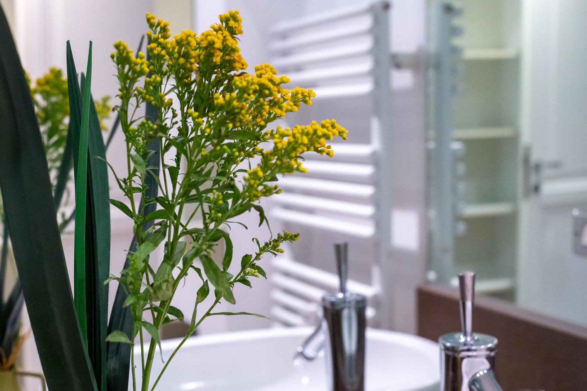 Apartment Iflat Lina Cavalieri House