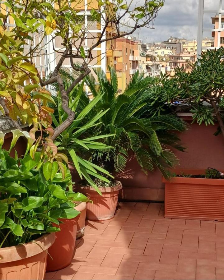 Apartment Attico Pavia Vicino Policlinico *
