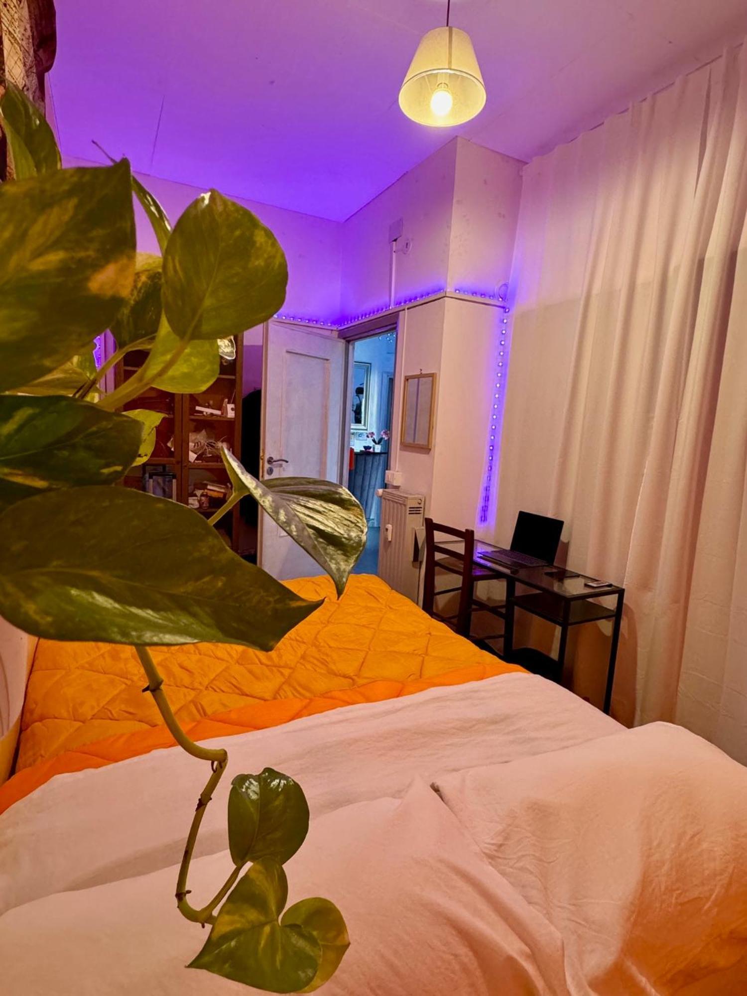 Guest house Romoli And *