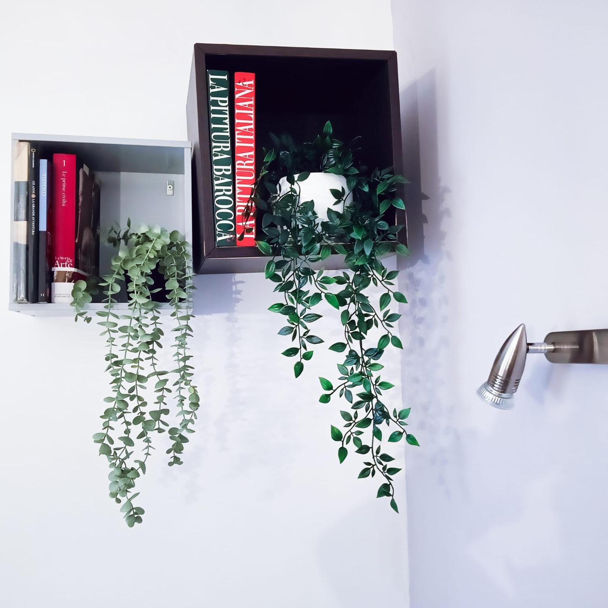 Apartment Candia Sweet Rome