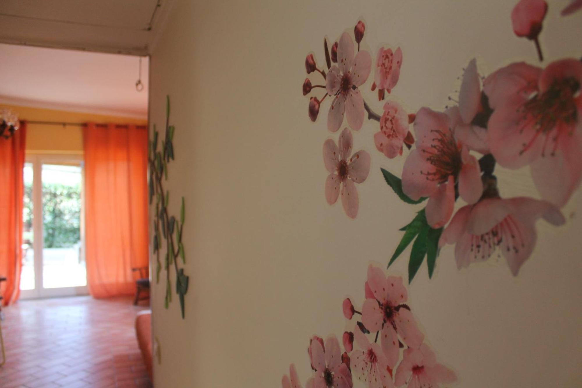 A Casa Di Romolo *