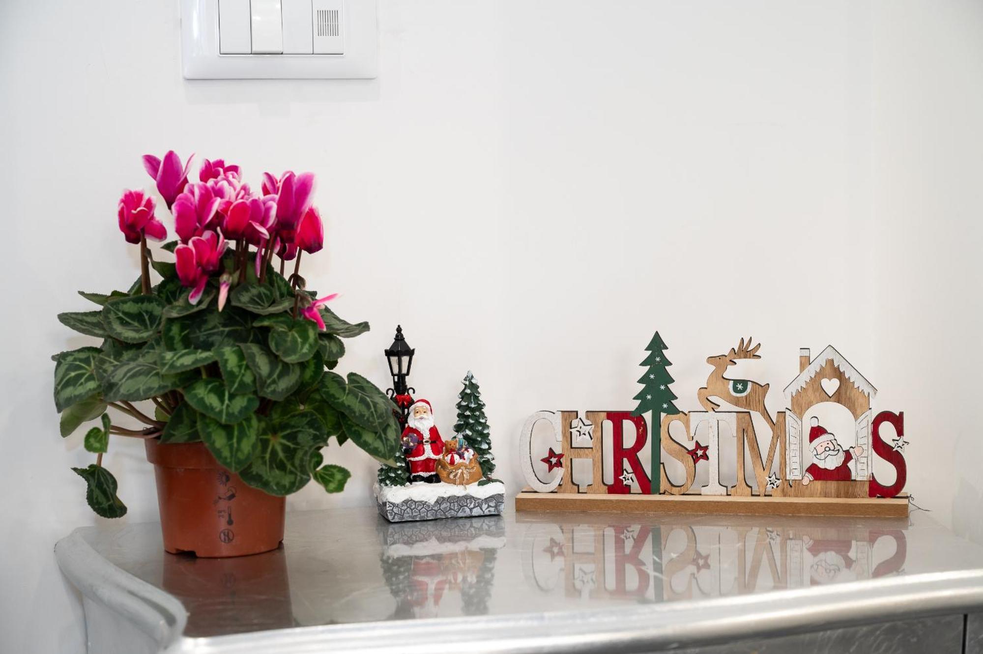 Apartment St. Peter Boutique Rome