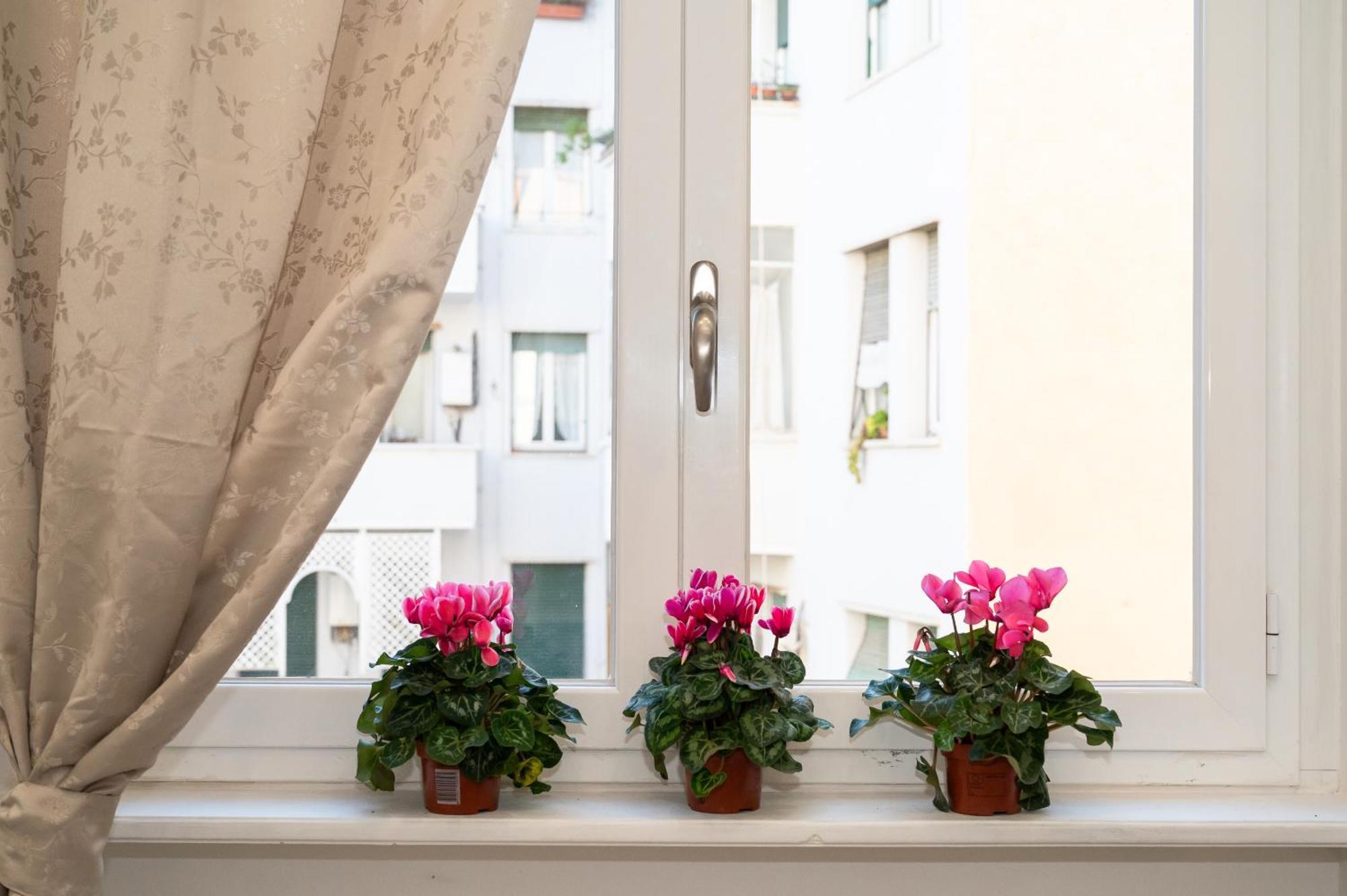 Apartment St. Peter Boutique *