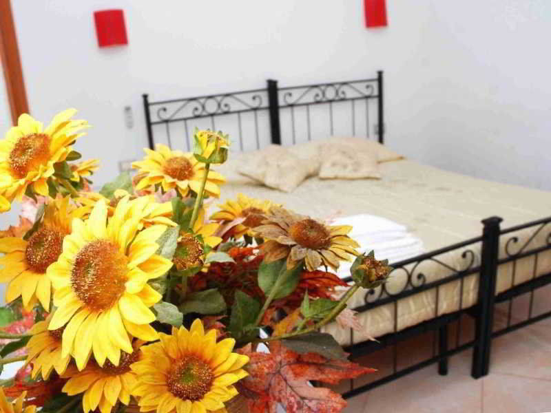Guest house Dandi Domus Rome