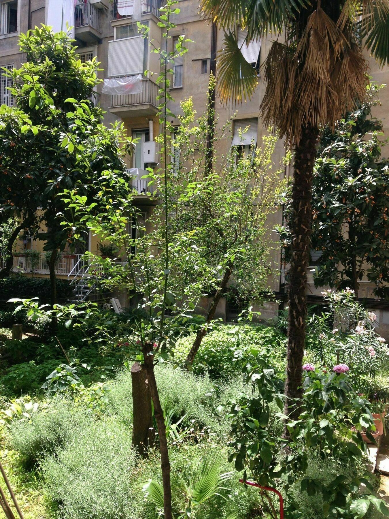 Guest house Reboa Rome