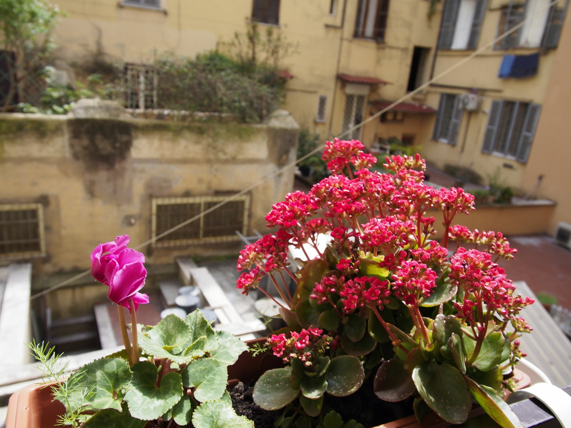 Palladini Hostel *
