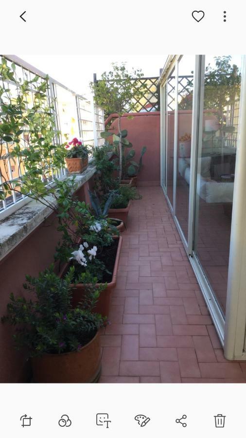 Attico Pavia Vicino Policlinico Apartment