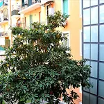 Casa Vacanza Home Sweet Home Di Fatha