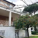 Boutique Hotel Maximus