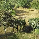 Spazio e tranquillità a Roma