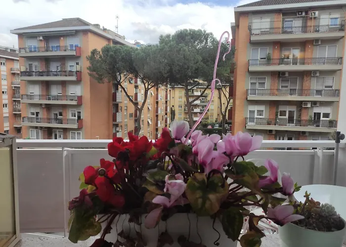 Cinthia\'S House