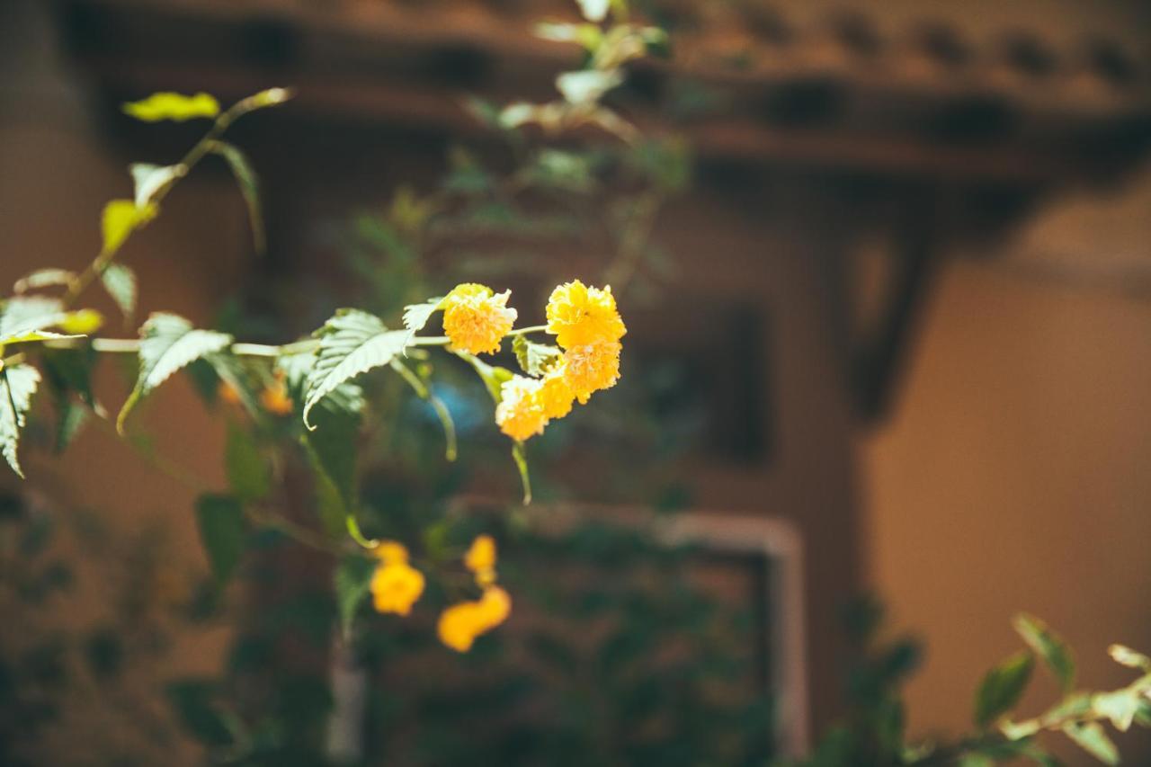 Guest house Lighthouse Trastevere 2*