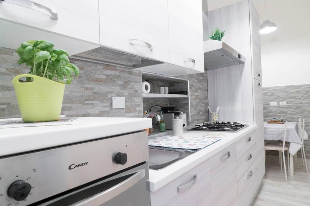 Karlo's Apartment