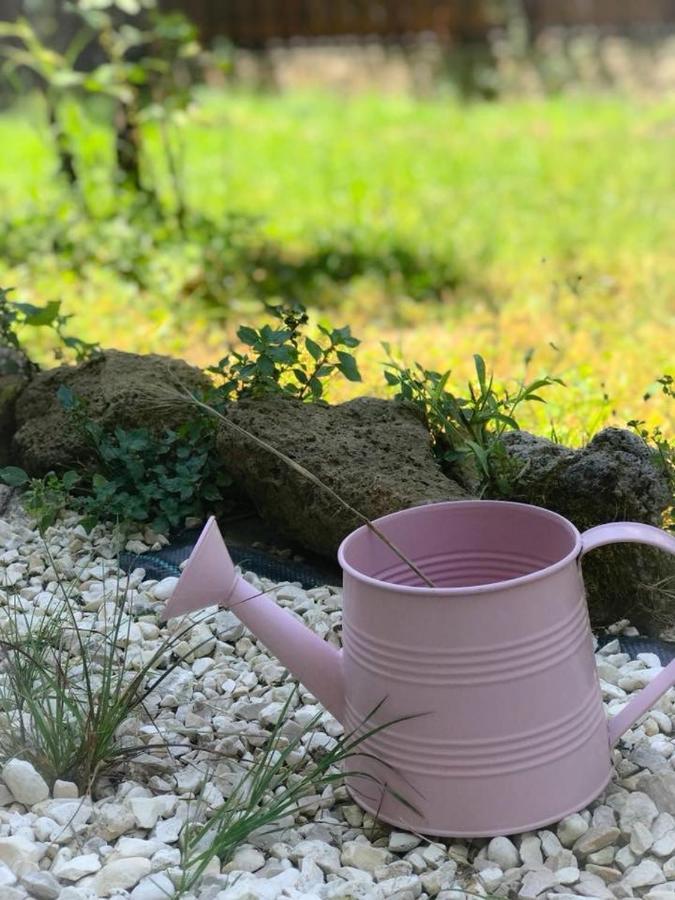 Alloggio Turistico Colosseo Homestay *