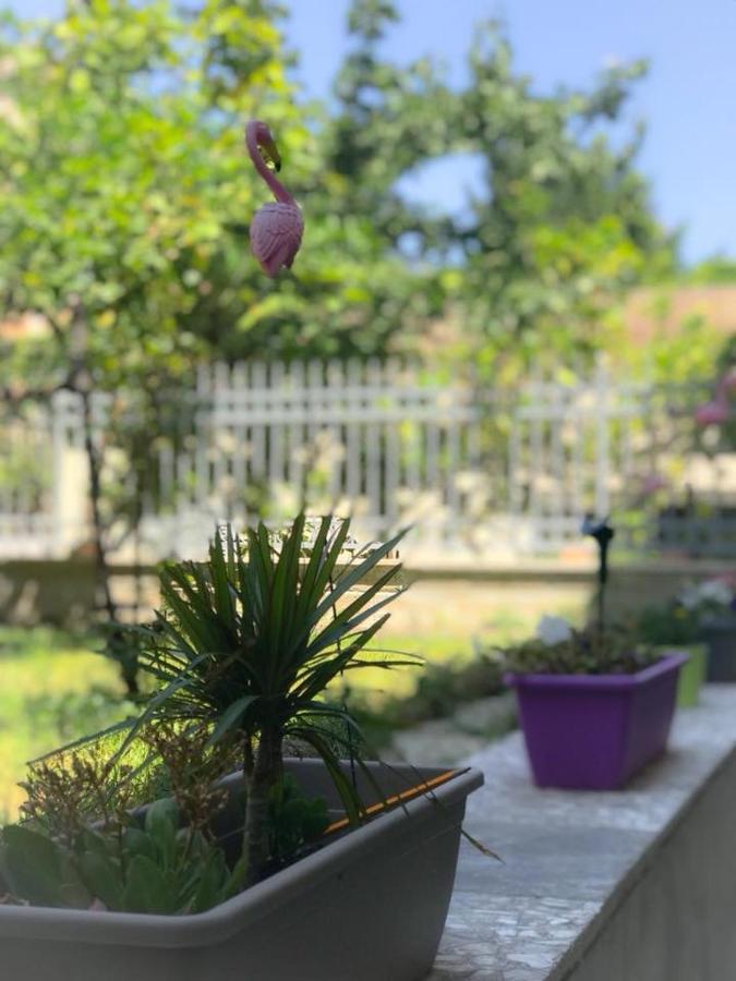 Homestay Alloggio Turistico Colosseo *