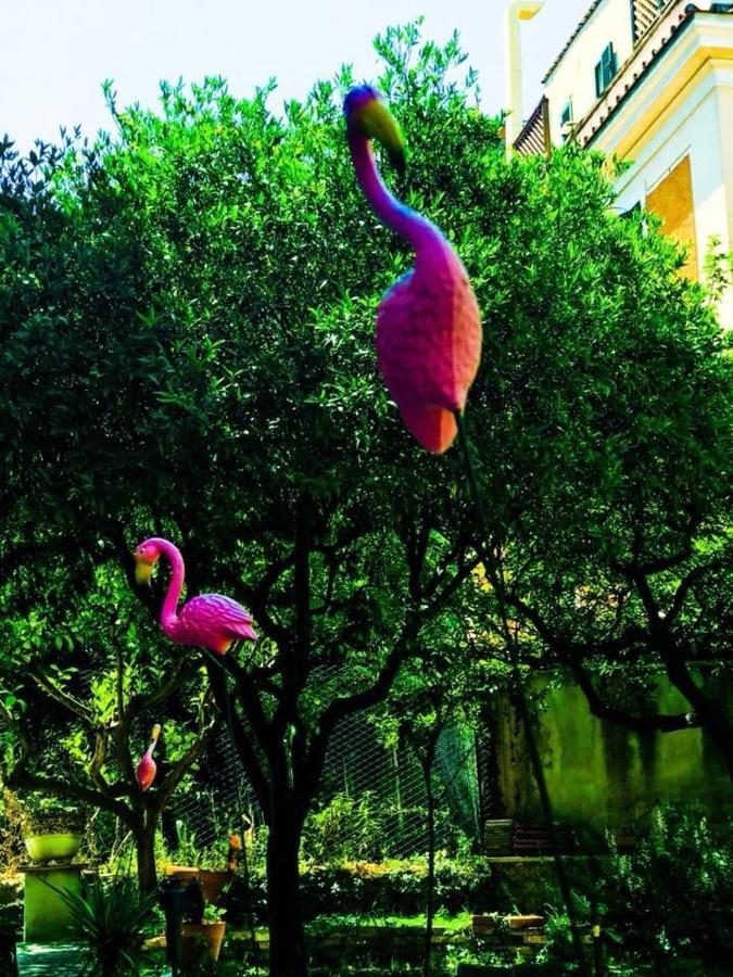 Homestay Alloggio Turistico Colosseo