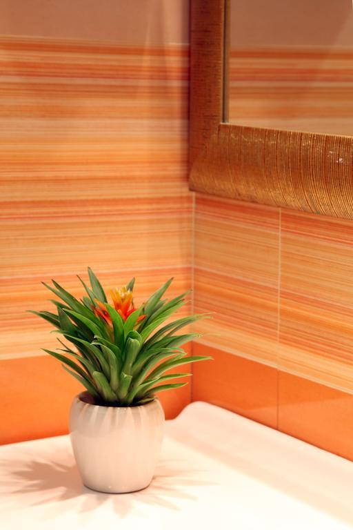 Serena Srl Hotel Rome