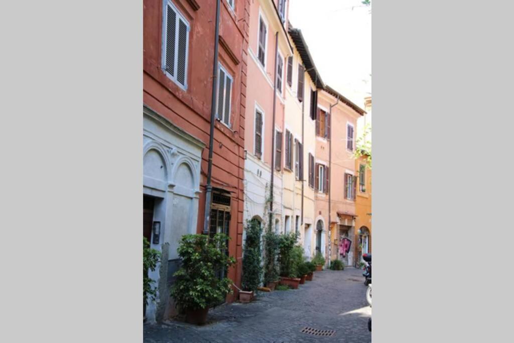 Cedro Apartment Rome