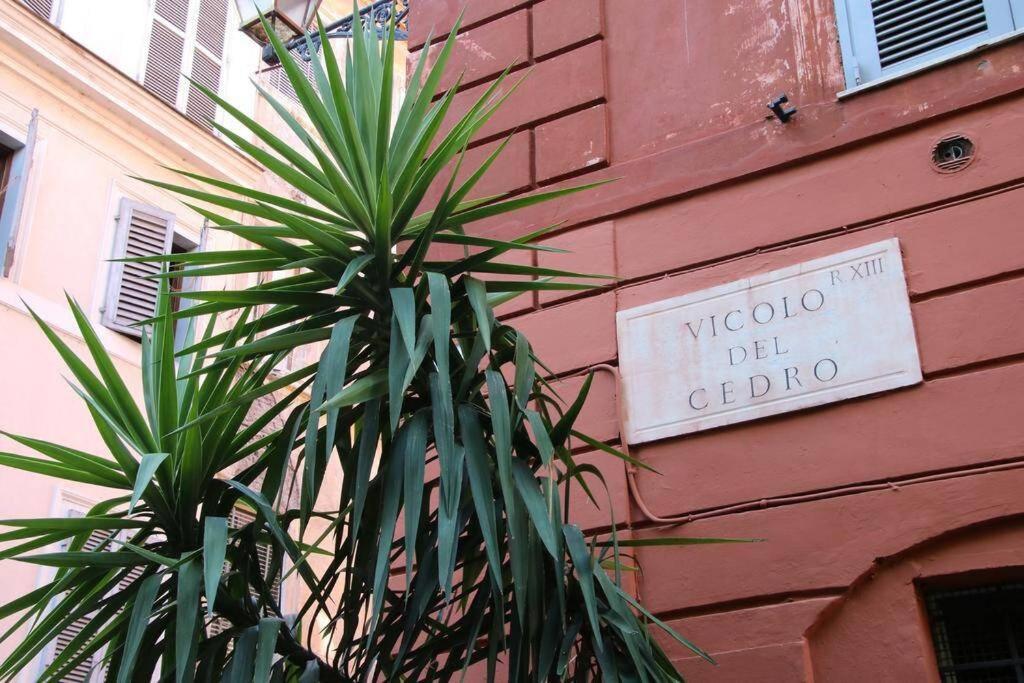 Apartment Cedro Rome