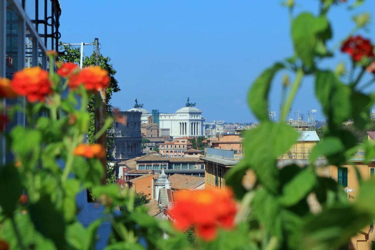Bellezza Al Colosseo - B&b&apts 3* Roma