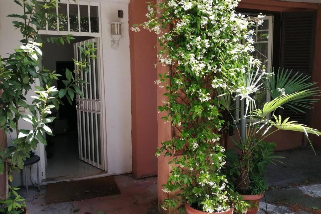 La Casa Della Mia Famiglia * Rome