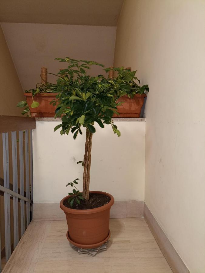 Apartment A&c Talenti Diamond *