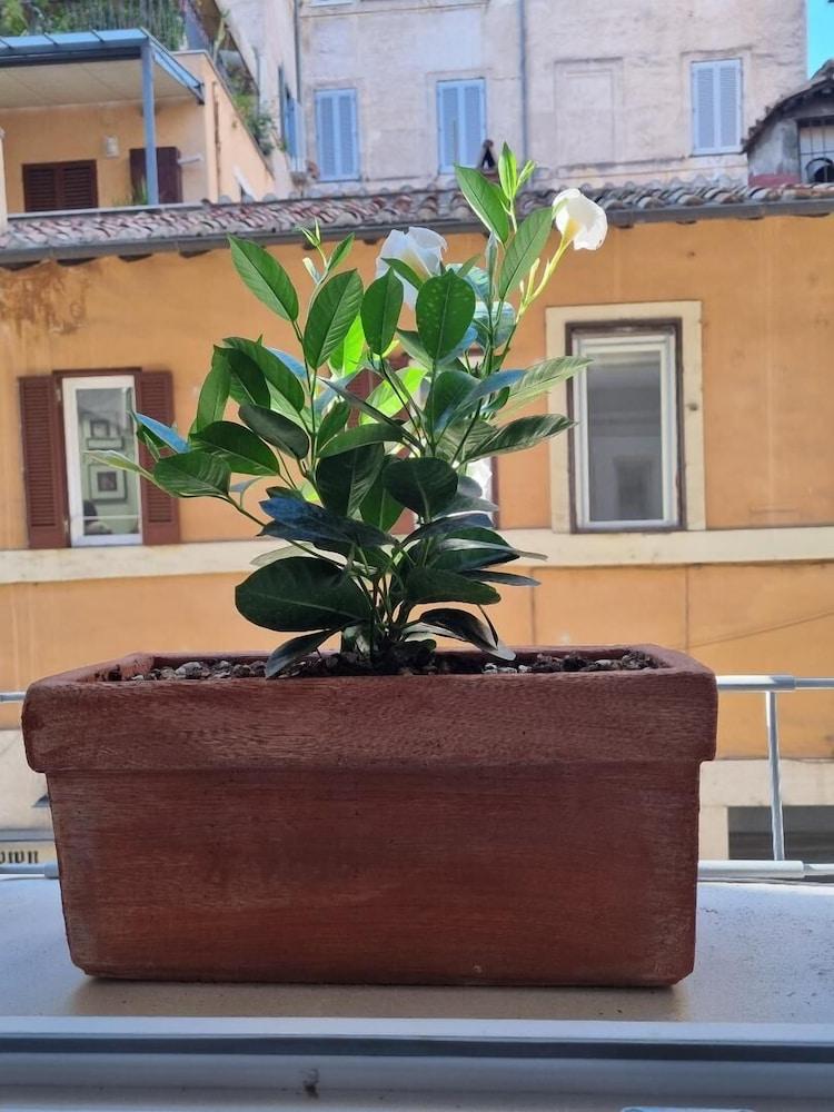 Town House Spagna 2* Rome