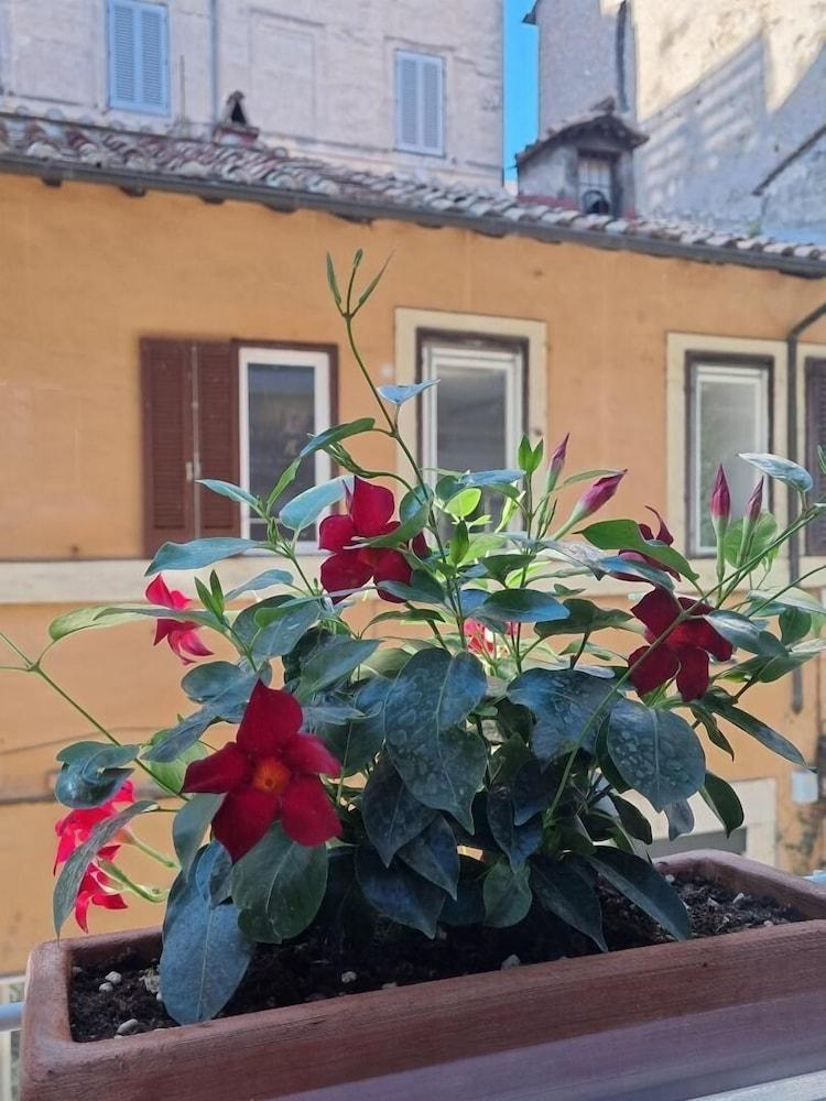 Guest house Town House Spagna 2*
