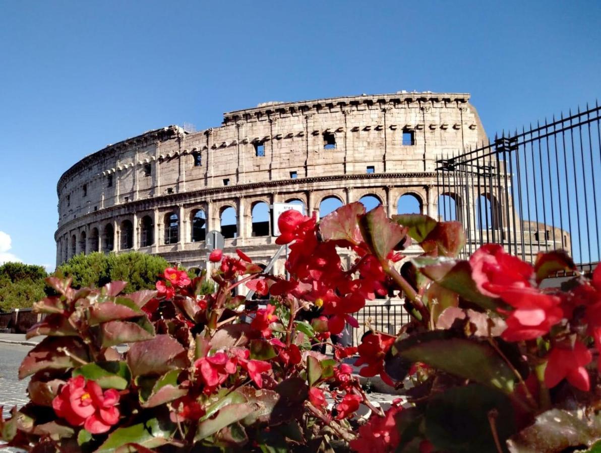 Casa S. Giuseppe Di Cluny Bed & Breakfast *