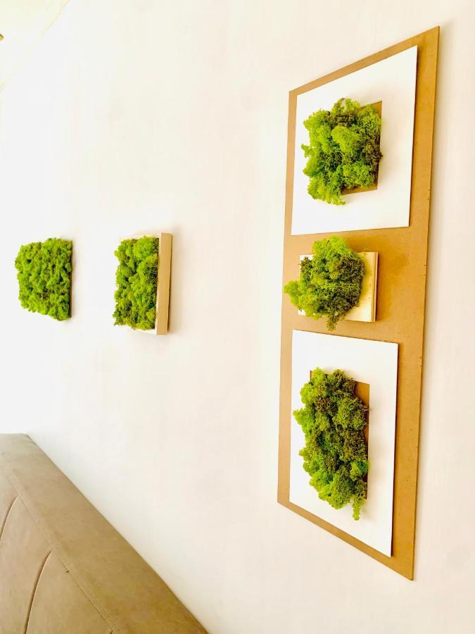 Plant House Eur Casa vacanze Roma