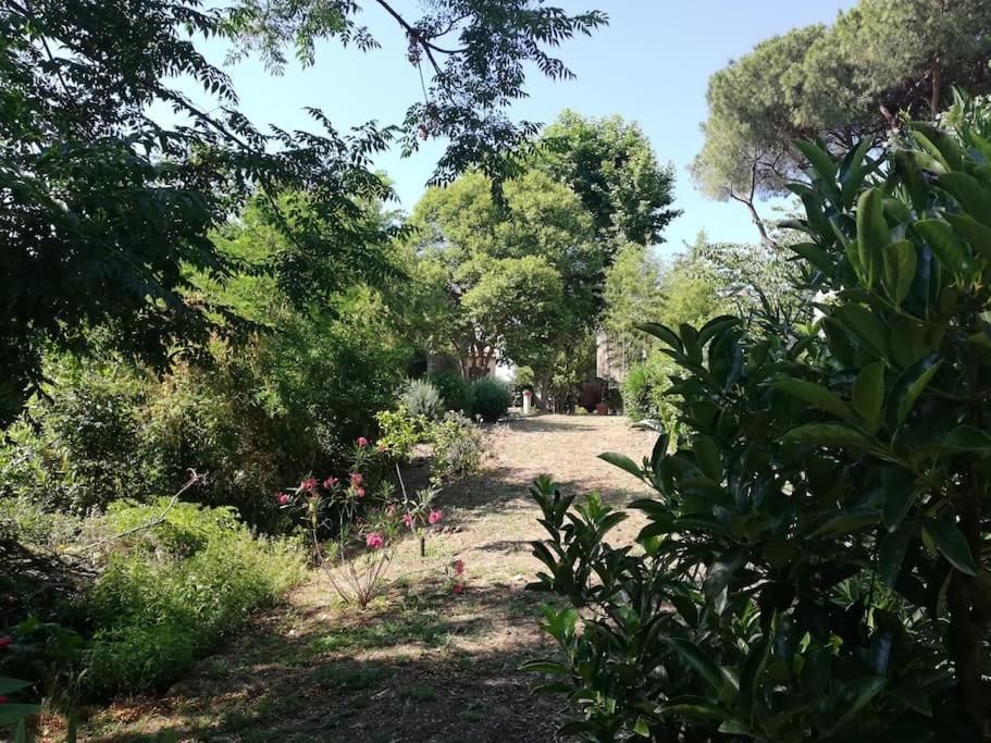 Apartment Roma, Rome