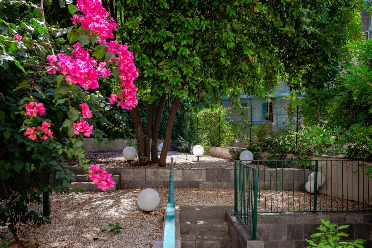 Tarshito Gallery House Guest house Rome