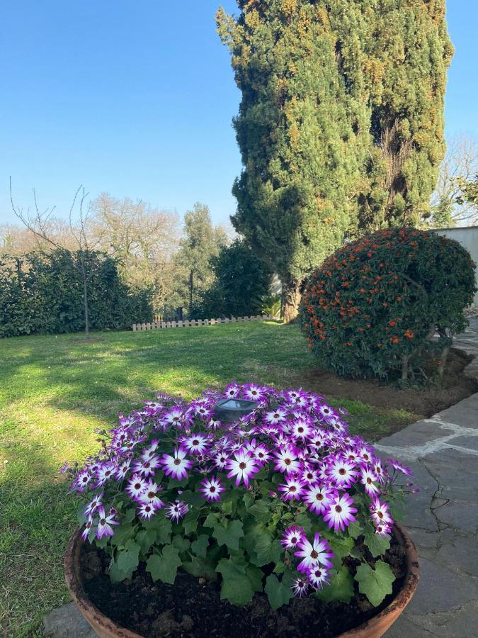 Villa Del Rubbio Rome
