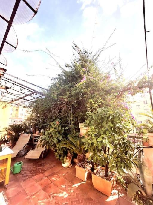 Le Terrazze Di Trastevere - Con Vasca Idromassaggio Apartment *