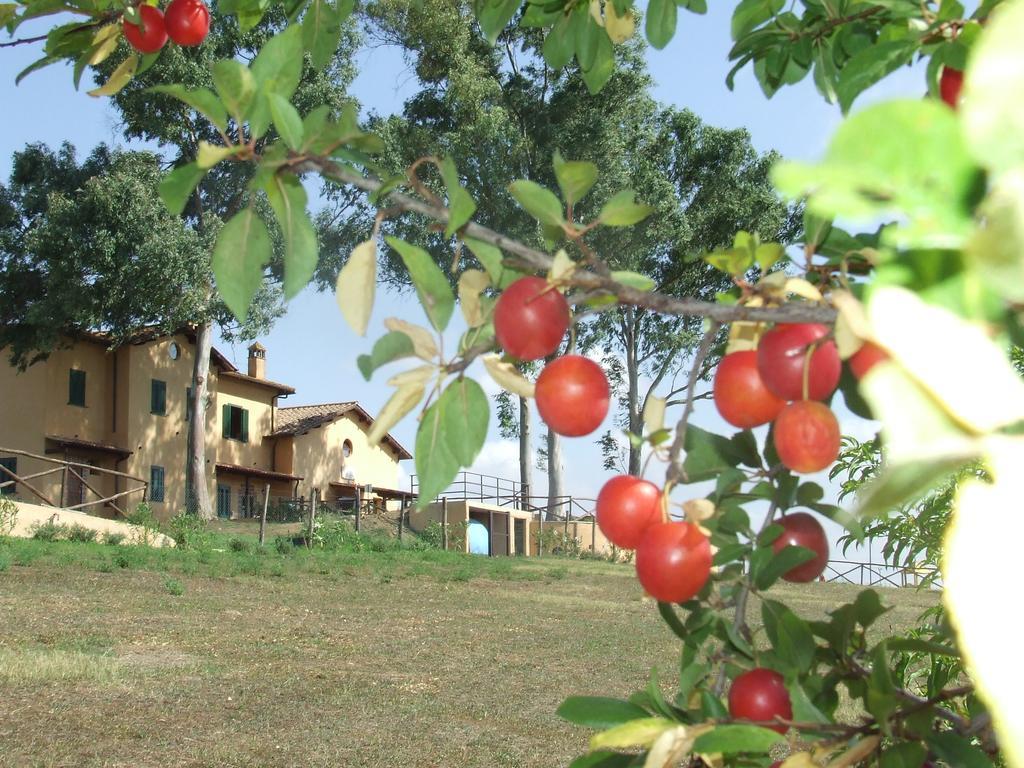 Il Casale Di Alloggio per agriturismo