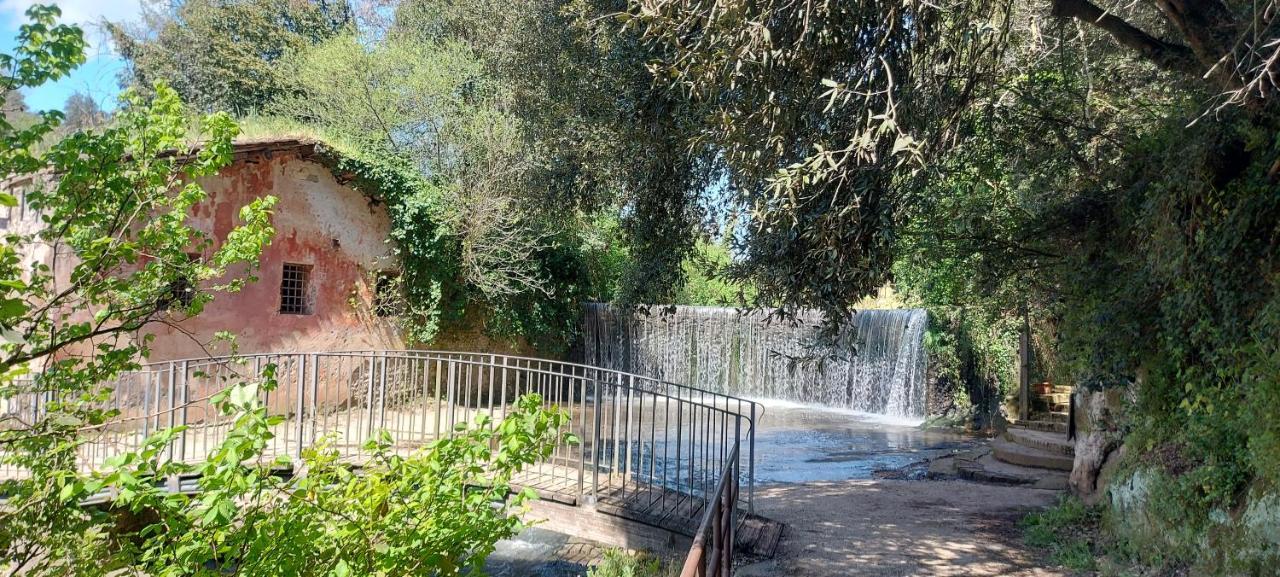 La Casa Di Bambi