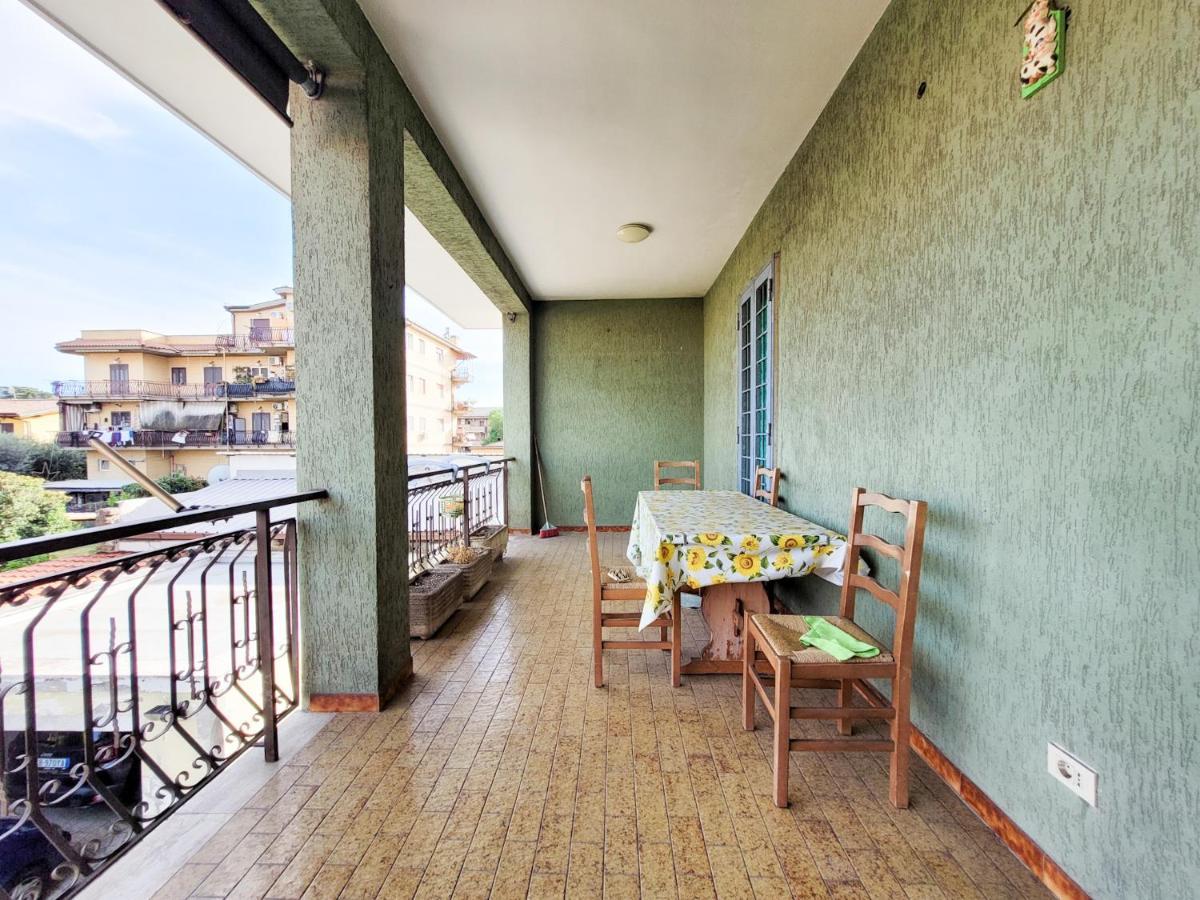 Apartment Green Home