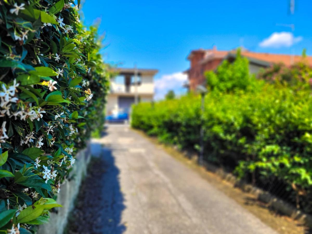 Green Home * Rome
