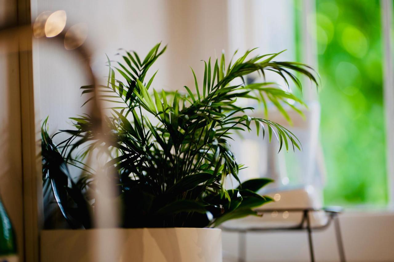 Plant House Eur Casa vacanze