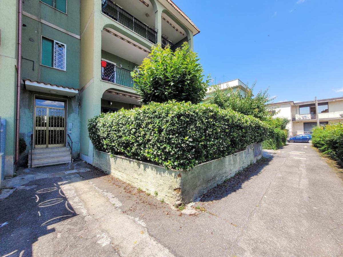 Green Home Apartment