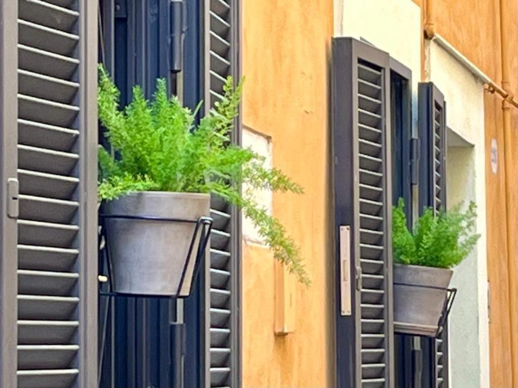 Antica Dimora La Campanella Apartment *
